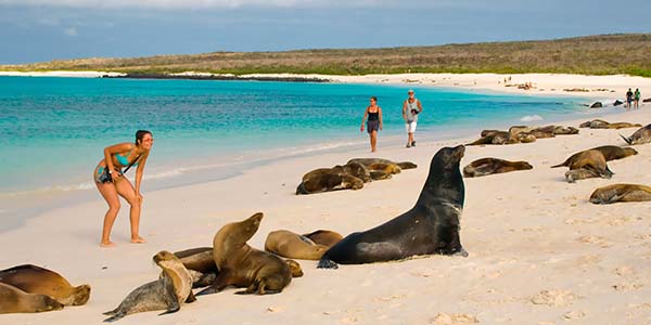 Tour Islas Galapagos