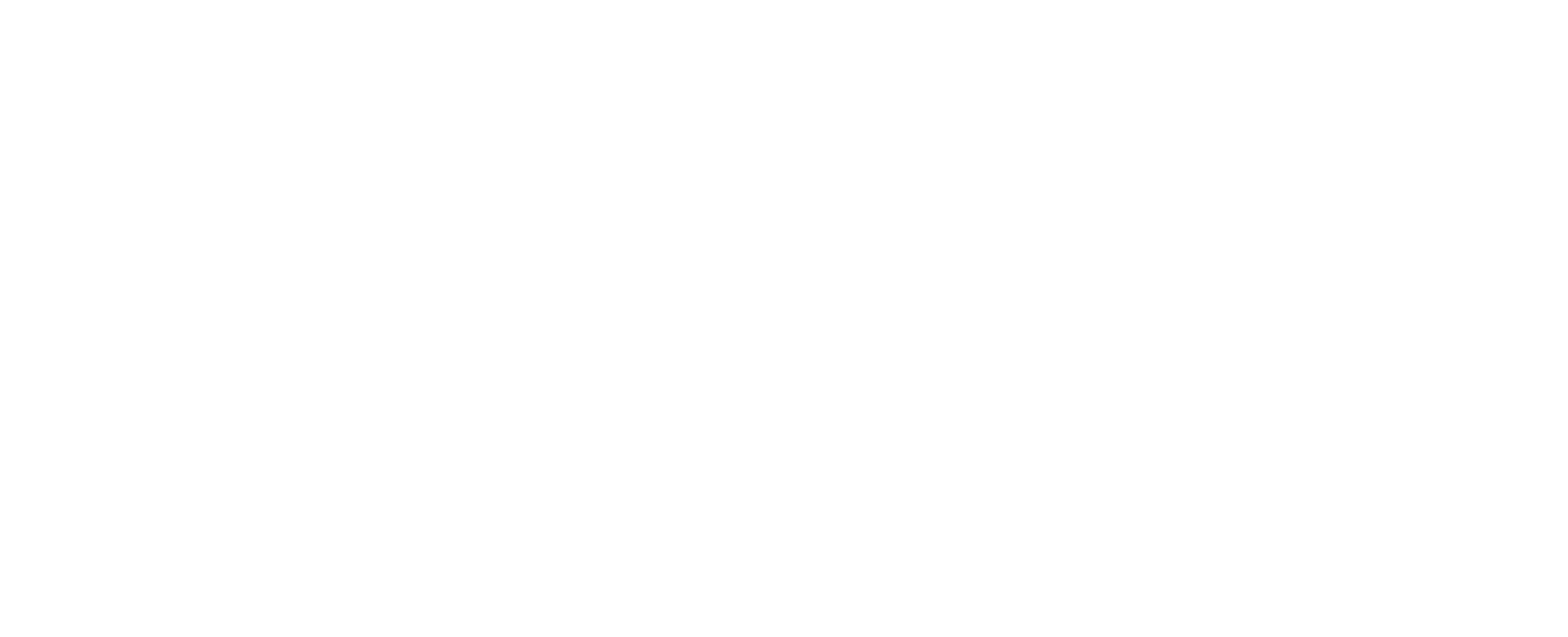 HDP Mayorista de Turismo